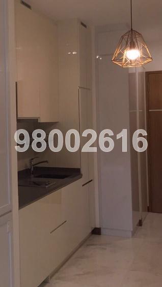 18 Woodsville (D13), Apartment #124690262